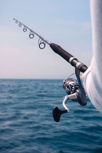 Tampa Bay Fishing Charter