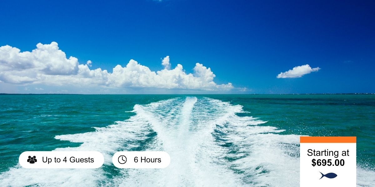 6 hour fishing trip