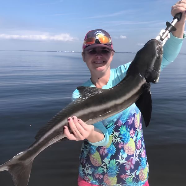 cobia fishing