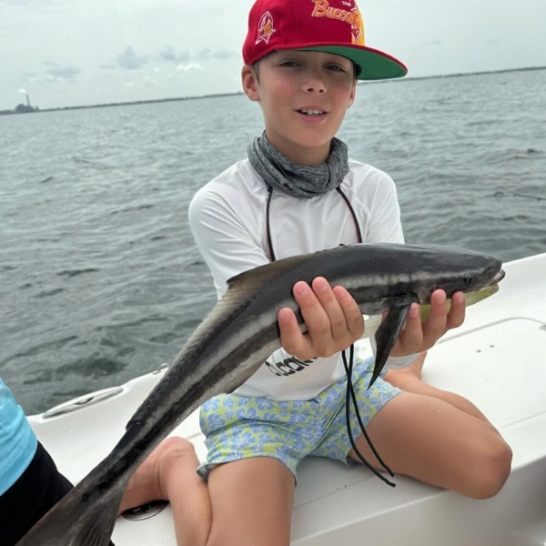 fishing for COBIA
