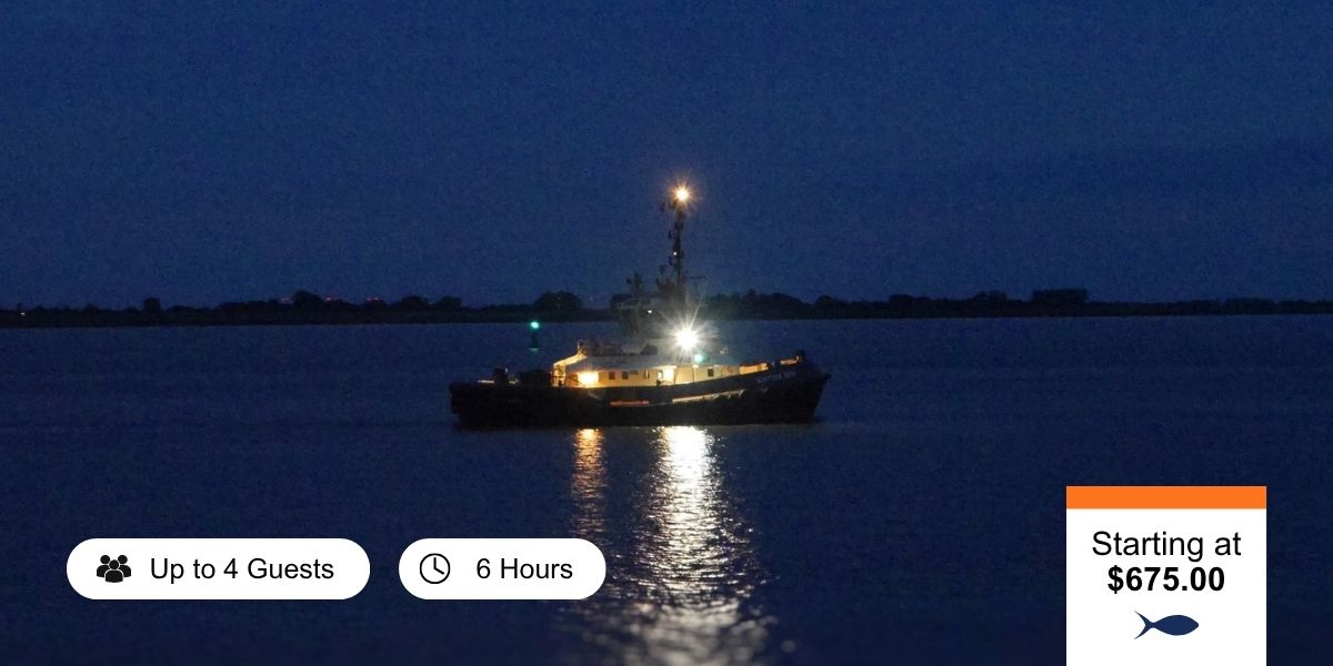 night fishing in tampa bay